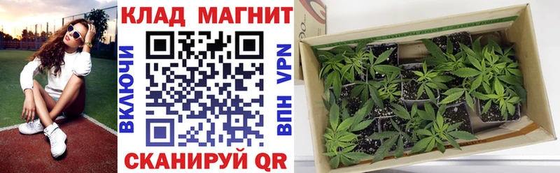 Цена Чебаркуль ГАШИШ  Галлюциногенные грибы  Alpha PVP  МЕФ  Кокаин  Амфетамин 