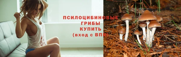круглые Абинск