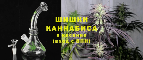гидропоника Алзамай