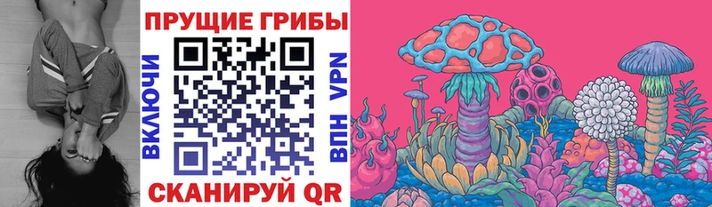 площадка как зайти  Чебаркуль  Псилоцибиновые грибы Psilocybe 